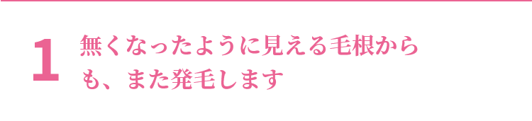 1 無くなったように見える毛根からも、また発毛します