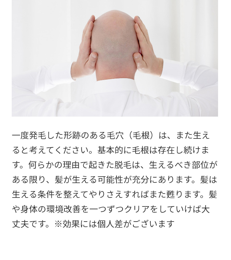 一度発毛した形跡のある毛穴（毛根）は、また生えると考えてください。基本的に毛根は存在し続けます。何らかの理由で起きた脱毛は、生えるべき部位がある限り、髪が生える可能性が充分にあります。髪は生える条件を整えてやりさえすればまた甦ります。髪や身体の環境改善を一つずつクリアをしていけば大丈夫です。※効果には個人差がございます