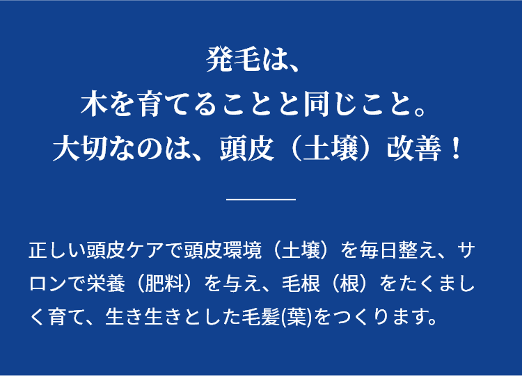 発毛は、木を育てることと同じこと。大切なのは、頭皮（土壌）改善！